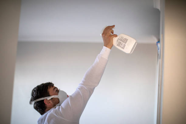 Best Certified Mold Removal  in Carrizozo, NM