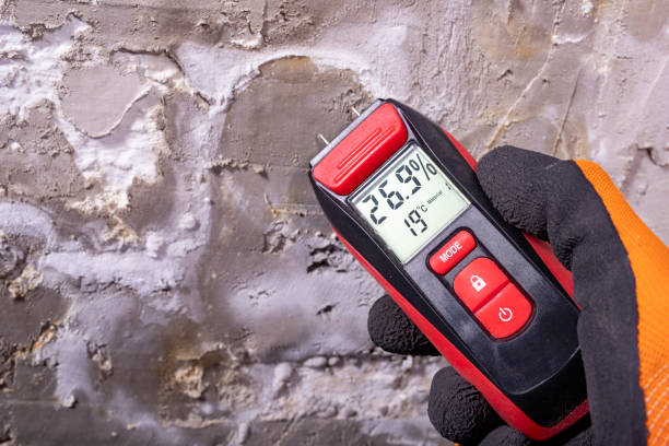 Best Crawl Space Mold Removal  in Carrizozo, NM