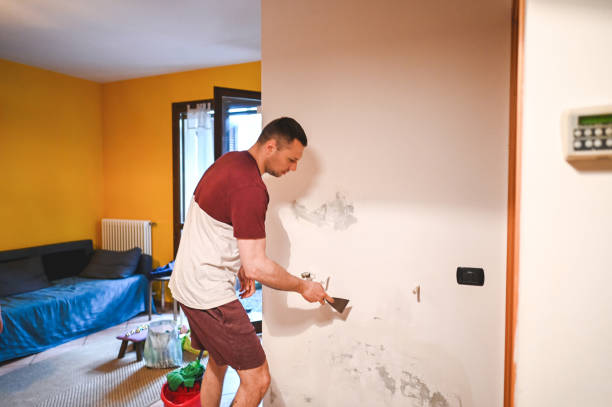 Best Mold Inspection  in Carrizozo, NM